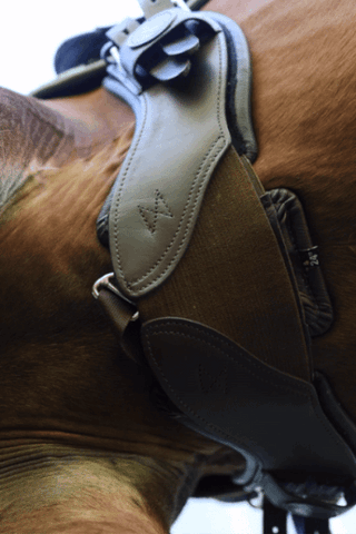 StretchTec Shoulder Relief Girth™ - English