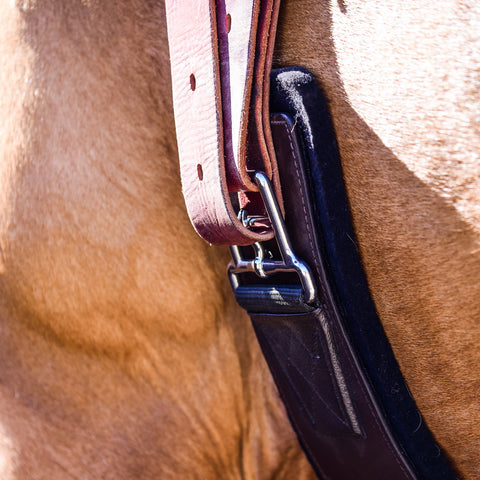 Shoulder Relief Cinch – K&N Equine Solutions