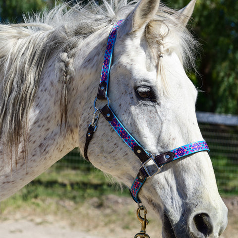 Leather Halter by TRVST Design