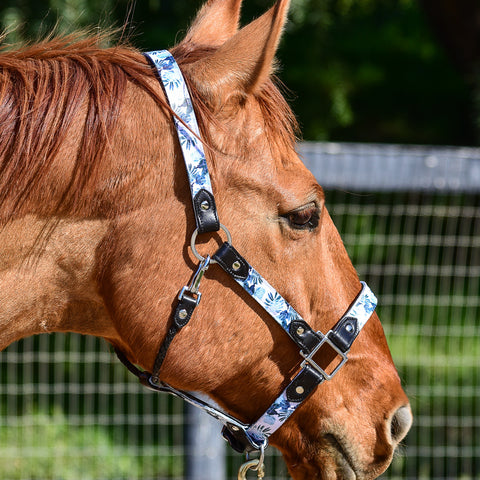 Leather Halter by TRVST Design